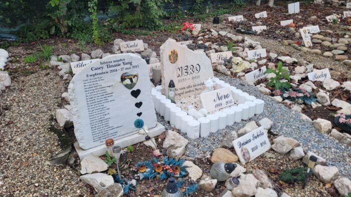 Loc de veci pentru animale (in cimitir animal) - imagine 1